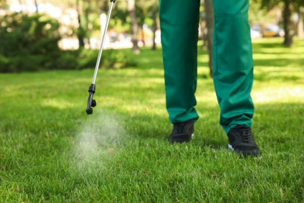 Best Local Pest Control Services  in Thorp, WI