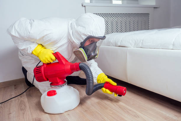 Best Best Pest Control Companies  in Thorp, WI