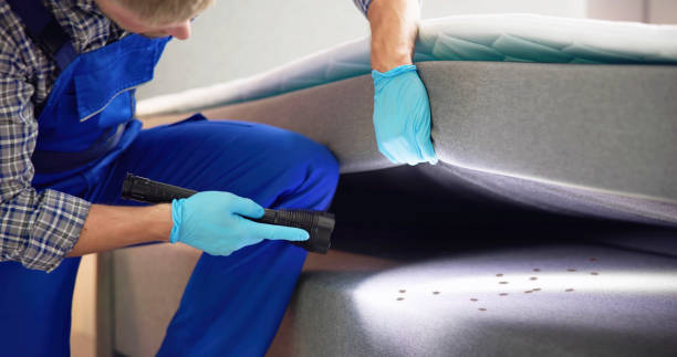 Best Mosquito Control Services  in Thorp, WI