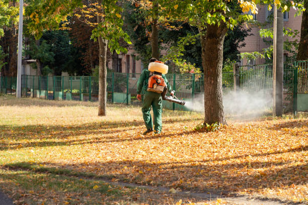 Best Affordable Pest Control Services  in Thorp, WI